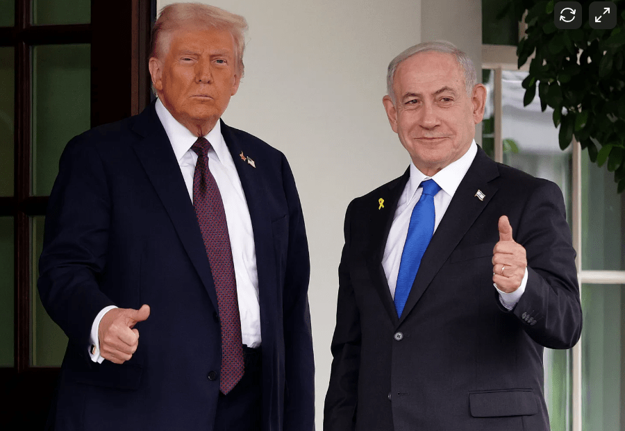 ¿LA POLÍTICA DEL MATÓN? NO, ES LA POLITICA DE LA&nbsp;CRUELDAD